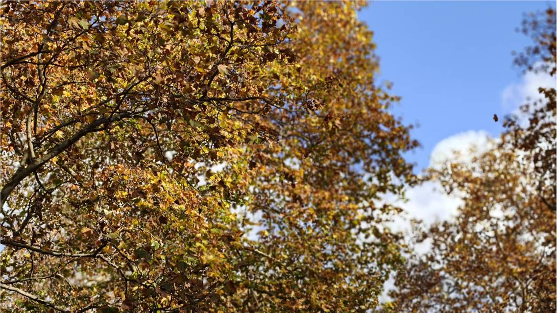 ���������ܾ���滮������ǰ�����貽��ΪӪ