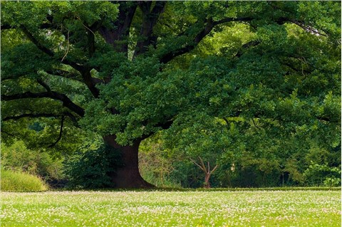�����пգ���λ���������пռ�������
