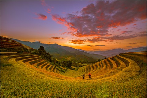 ֱ�ĵӶ̽������ģʽ