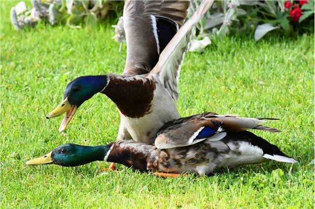 �������𱸻������ϡ�����������