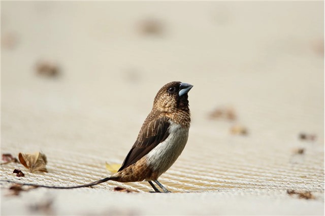 �������𱸻������ϡ�����������������