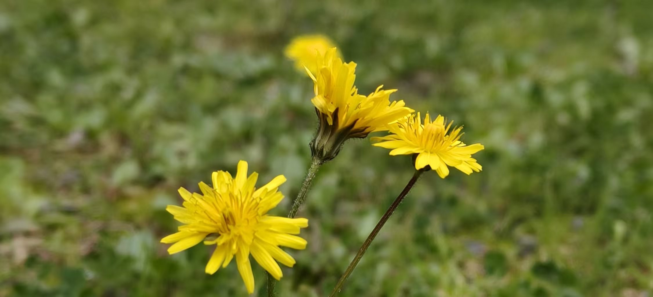 ճ������ΪʲôԽ��Խ�����ˣ�