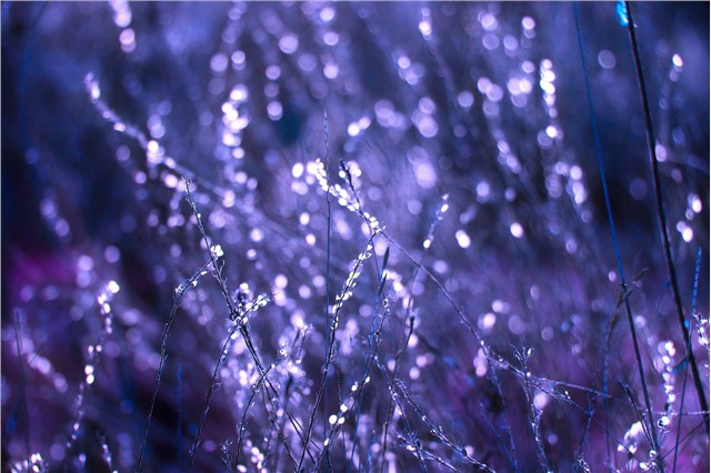 3A��Ƭ��Ƭ�����������������