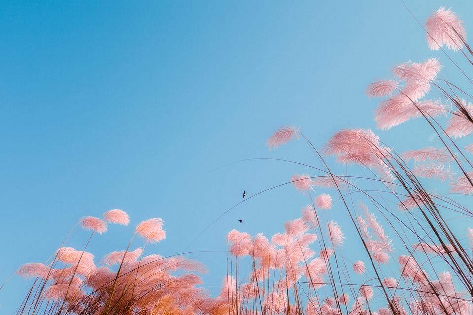 ������Ƭ���ߵͼ۲��쳣���ӹ���µ�