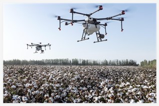 �����ѽ����F���y���ܷ��m��